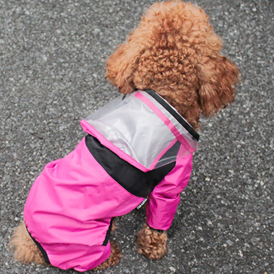 Pet Dog Raincoat: Transparent Hooded Jumpsuit Waterproof Coat for Dogs and Cats