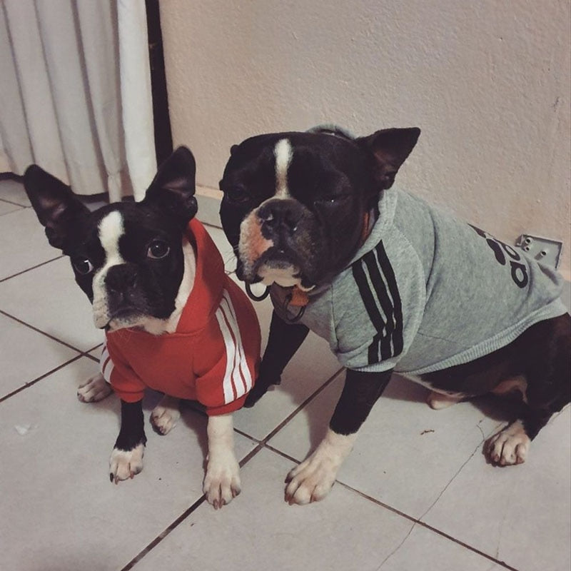 dog Sport Hoodies: Warm Winter Dog Clothes for Small, Medium, Large, and Big Dogs - Stylish and Cozy Pet Clothing for Cats, Puppies, and Pets