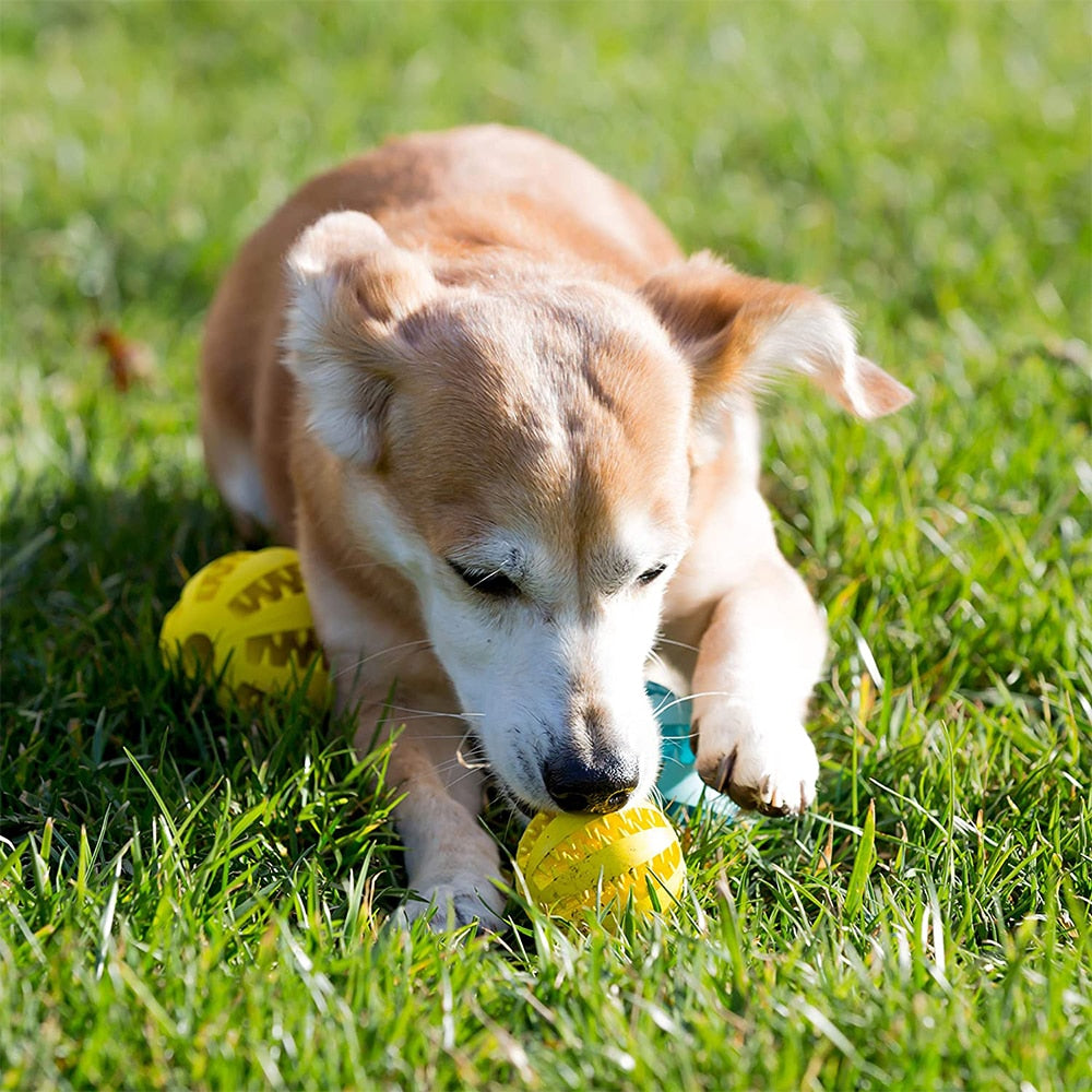 Durable Rubber Dog Ball Toys for Puppies and Large Dogs - Funny and Interactive Pet Toys for Tooth Cleaning and Snack Dispensing