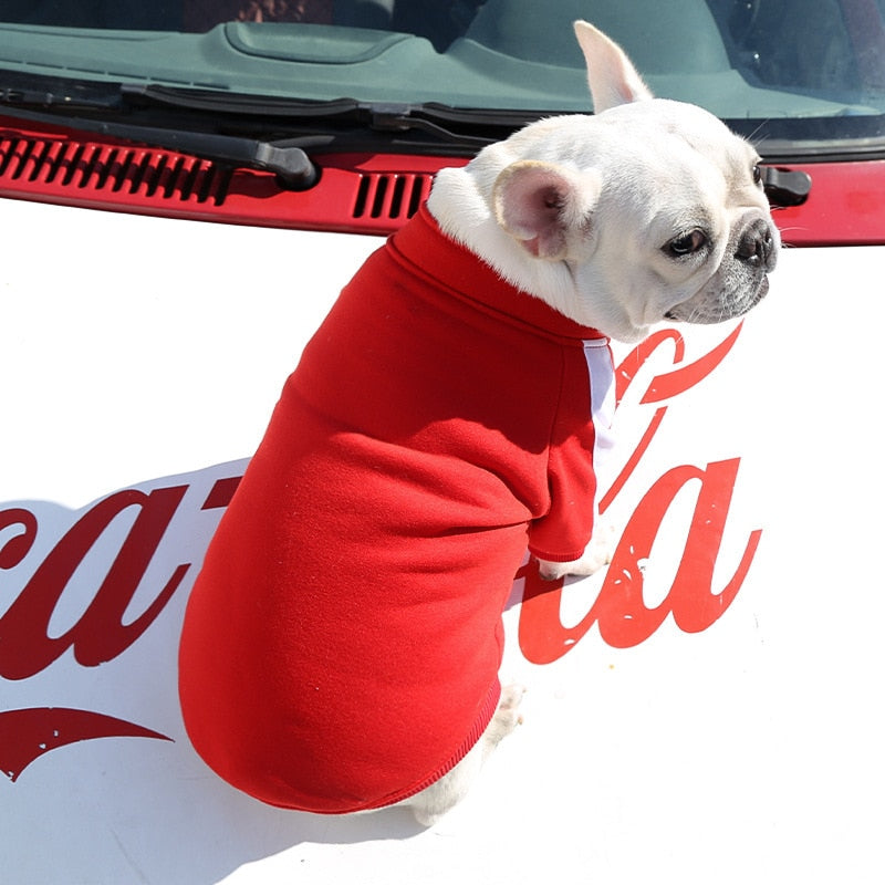 Warm and Stylish Winter Dog Jacket for Small and Medium Dogs