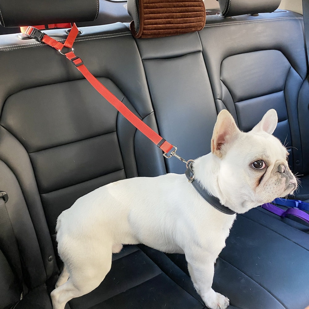 Secure and Adjustable Two-in-One Dog Harness Collar: Pet Accessories for Safe Travels - Includes Pet Car Seat Belt Lead Leash for Backseat Safety