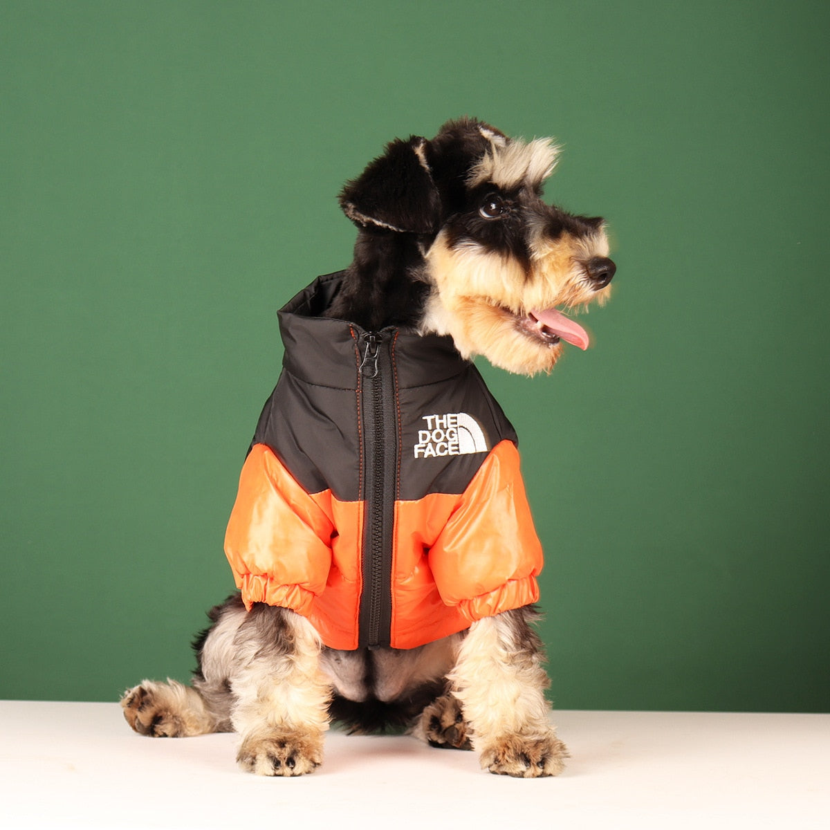 WinterWoof: Windproof Reflective Dog Jacket for Small Medium And Large Breeds - Warmth and Style Combined!
