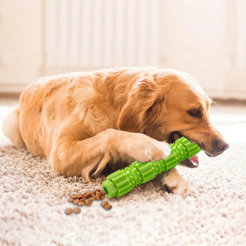 Chewable Treat Dispensing Dog Toy: For Aggressive Chewers, Teeth Cleaning & Squeaking