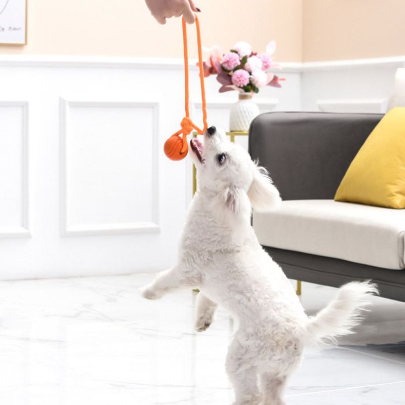 Bounce-n-Tug: High-Quality Rubber Chew Ball for Dogs - Interactive Bouncy Toy with Resistance String for Playful Fun