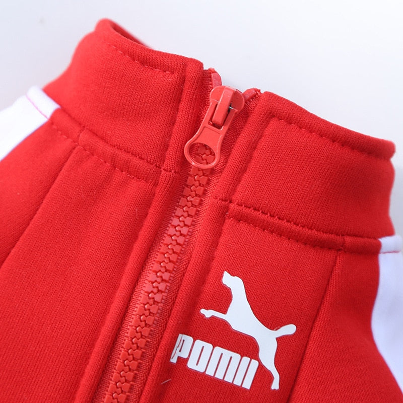 Warm and Stylish Winter Dog Jacket for Small and Medium Dogs