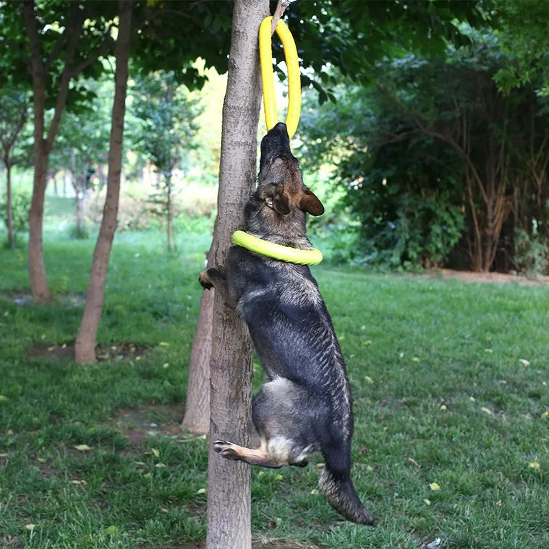 Ultimate EVA Flying Disc: Interactive Dog Training Toy