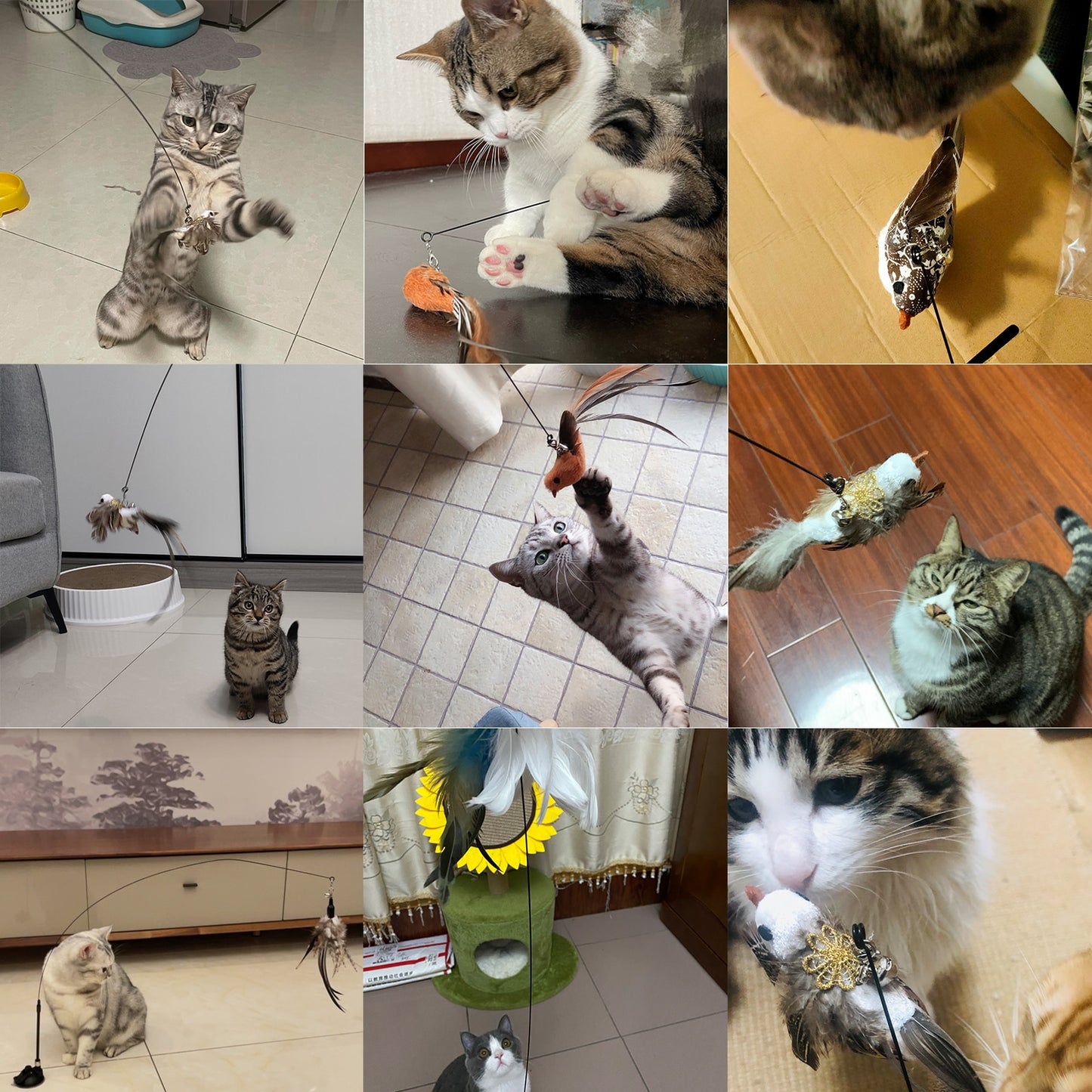 Hands-Free Bird/Feather Cat Wand with Bell: Powerful Suction Cup Interactive Toys for Cats and Kittens - Promote Hunting Instincts and Provide Exercise