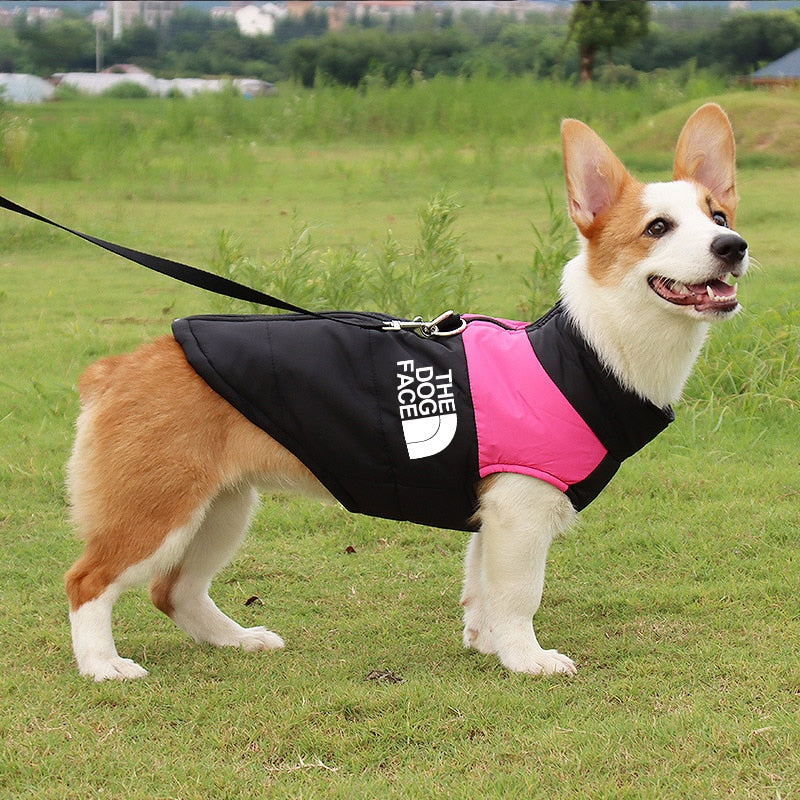 Waterproof Warm Dog Clothes: Pet Coat Winter Vest with Padded Zipper Jacket - Stylish and Protective Dog Clothing for Small, Medium, and Large Dogs