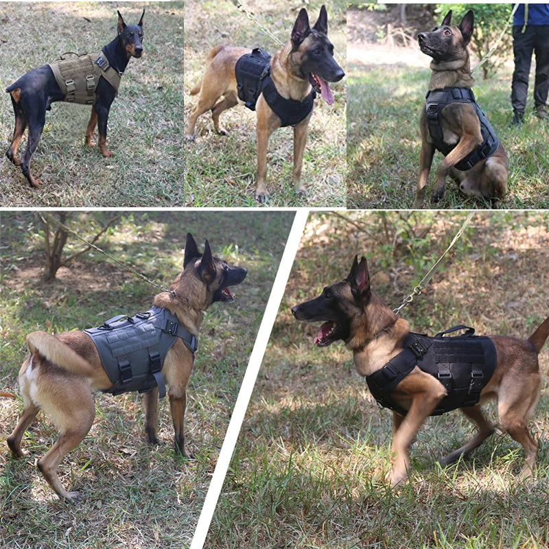 EliteK9 Guardian Tactical Dog Harness: Premium Training Vest and Leash Set for All Breeds