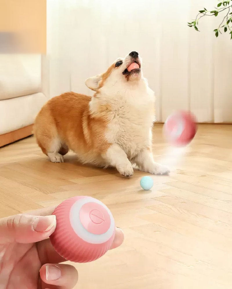 Roll-n-Play: Electric Auto Rolling Smart Ball Toy for Pet Interactive Indoor & Outdoor Play