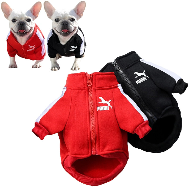Warm and Stylish Winter Dog Jacket for Small and Medium Dogs