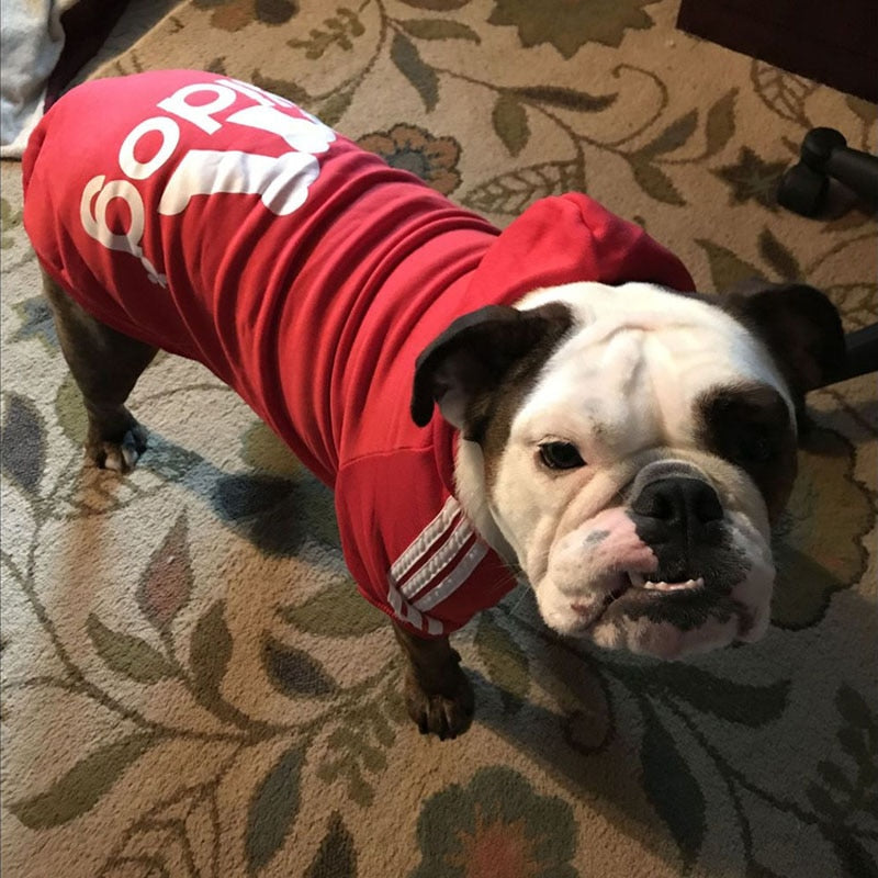 dog Sport Hoodies: Warm Winter Dog Clothes for Small, Medium, Large, and Big Dogs - Stylish and Cozy Pet Clothing for Cats, Puppies, and Pets