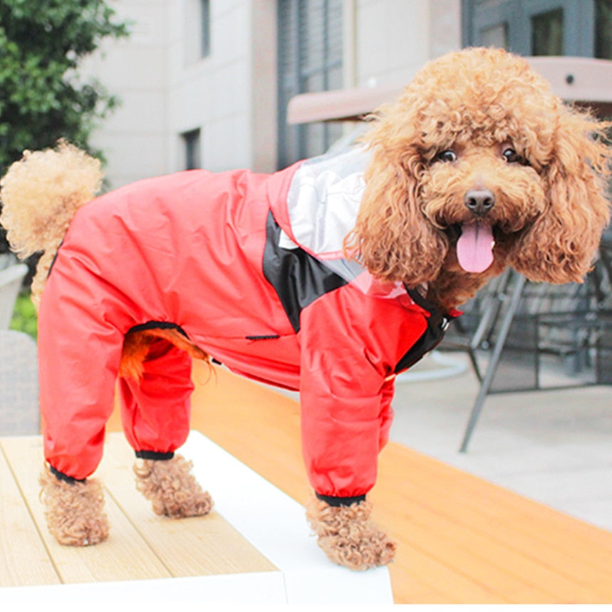 Pet Dog Raincoat: Transparent Hooded Jumpsuit Waterproof Coat for Dogs and Cats