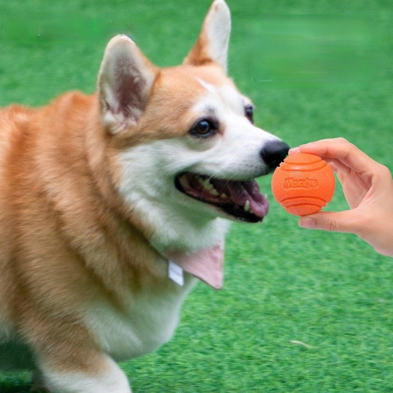 Bounce-n-Tug: High-Quality Rubber Chew Ball for Dogs - Interactive Bouncy Toy with Resistance String for Playful Fun