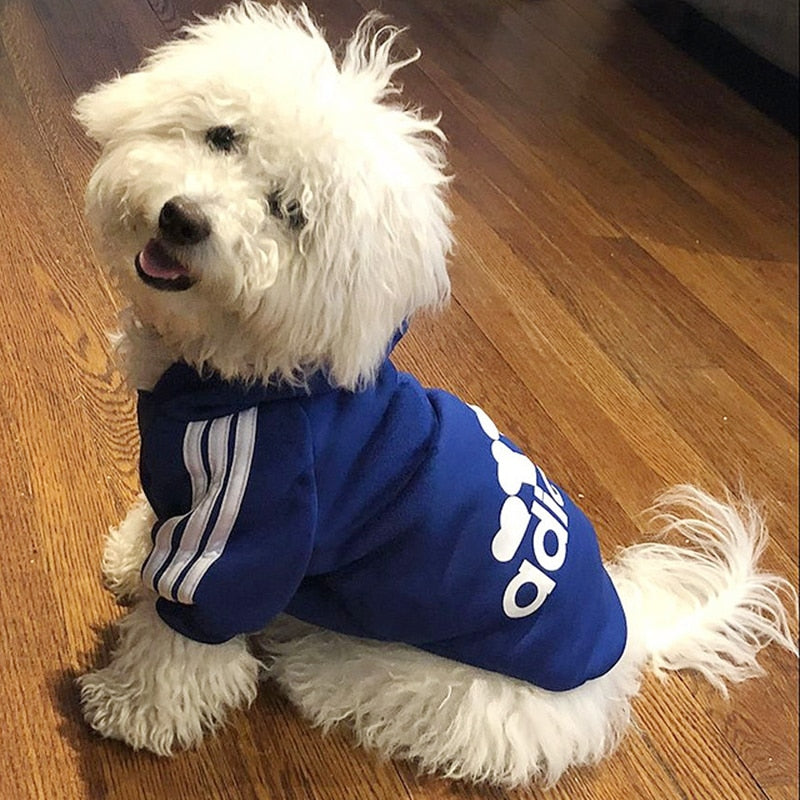 dog Sport Hoodies: Warm Winter Dog Clothes for Small, Medium, Large, and Big Dogs - Stylish and Cozy Pet Clothing for Cats, Puppies, and Pets