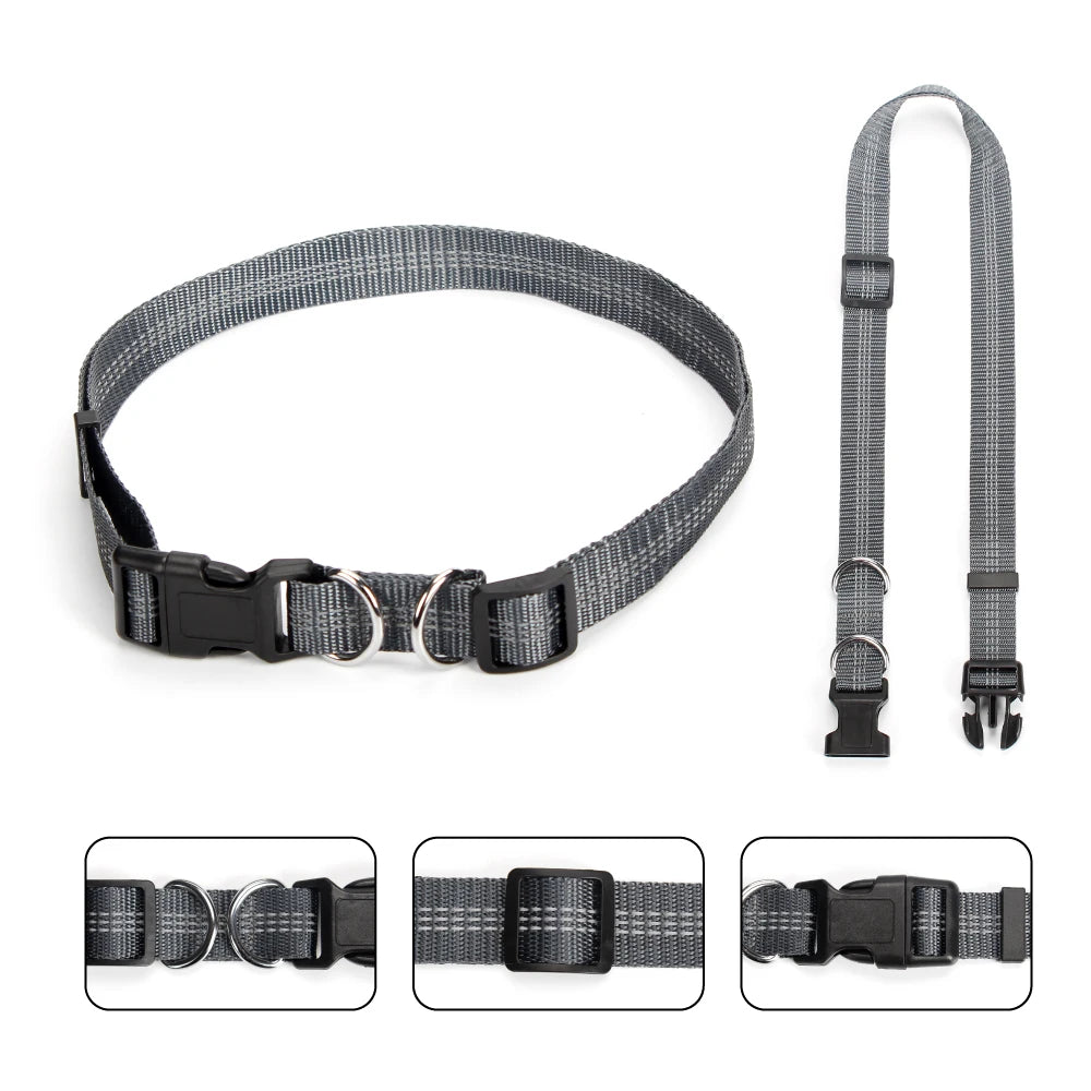 RunFlex Comfort Leash: Stretchy Hands-Free Dog Leash for Comfortable Running
