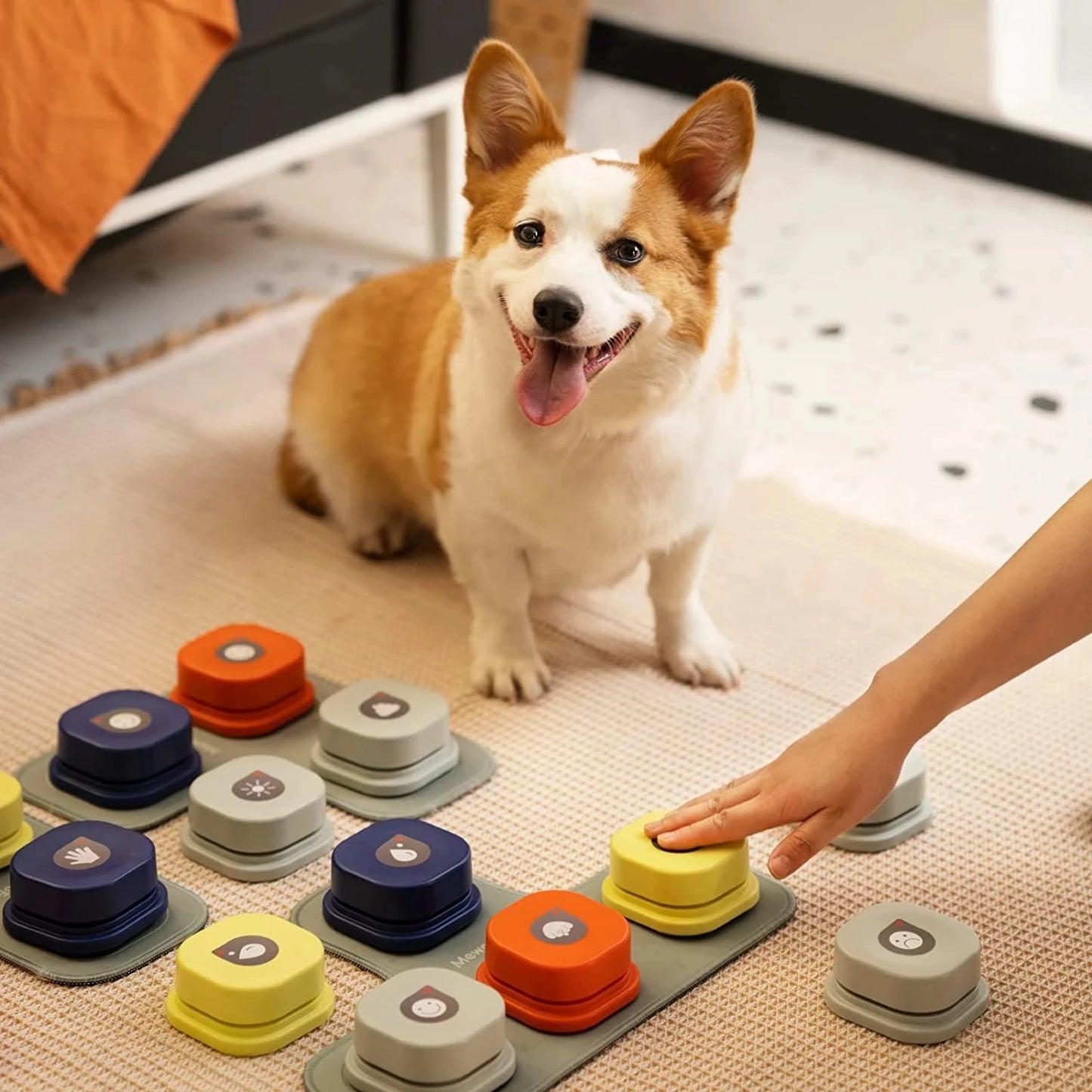 TalkPaw Interactive Pet Communicator: Dog Button Record & Training Toy with Bell Ringer, Pad, and Sticker – Easy and Fun Communication for Your Furry Friend