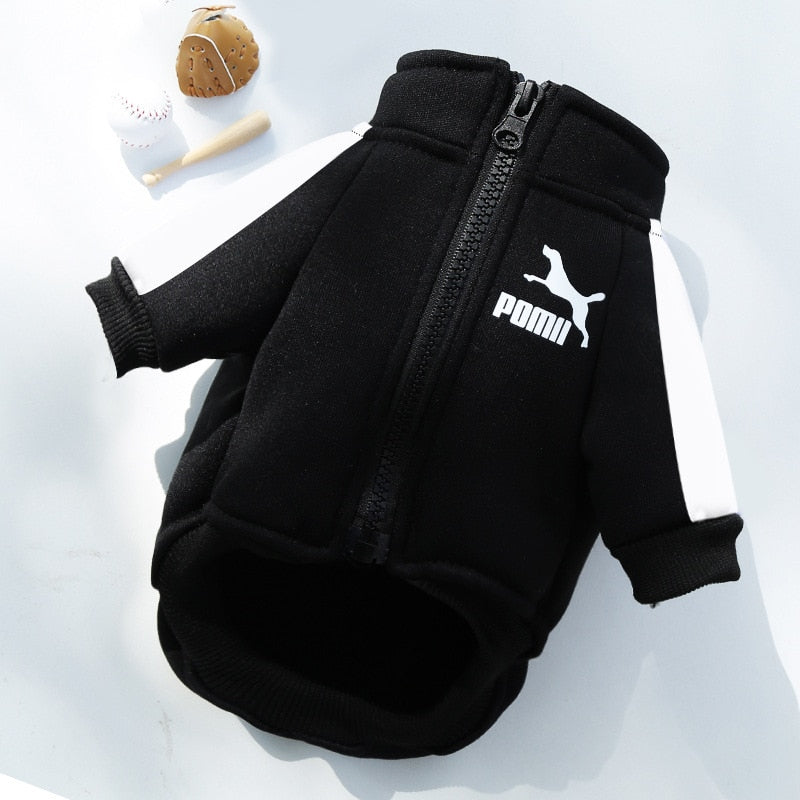 Warm and Stylish Winter Dog Jacket for Small and Medium Dogs