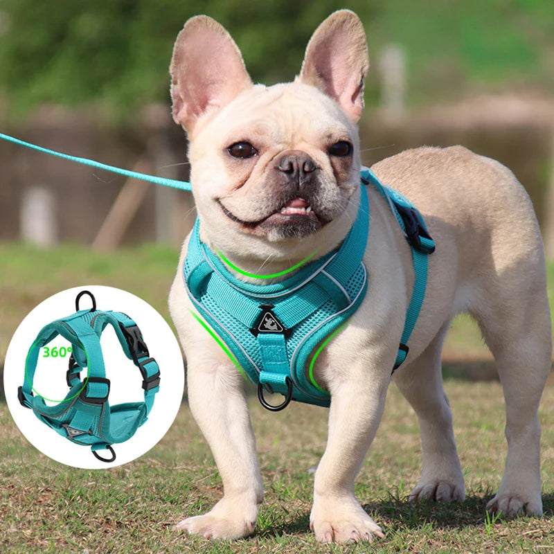 FlexFit Reflective Mesh Dog Harness and Leash Set: Adjustable Vest for Small Dogs and Cats, Ideal for French Bulldogs