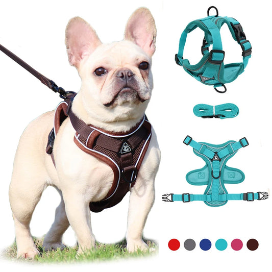 FlexFit Reflective Mesh Dog Harness and Leash Set: Adjustable Vest for Small Dogs and Cats, Ideal for French Bulldogs