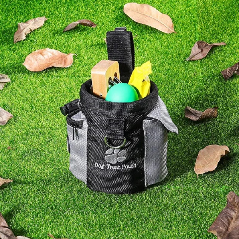 Outdoor Dog Treat Pouch: Portable Training Bag with Large Capacity