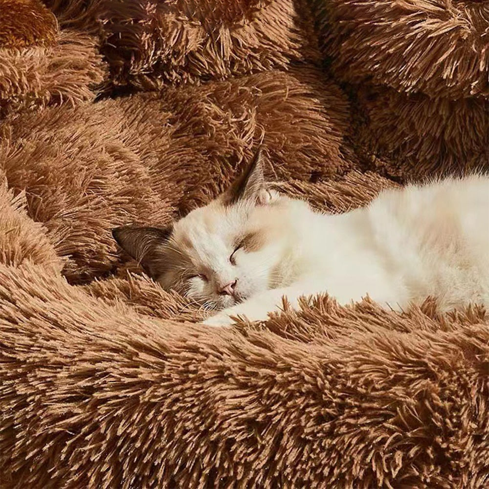 CozyPaws: Dog Sofa Beds for Dogs & Cats - Warm and Washable Pet Accessories for Comfortable Sleep and Lounging
