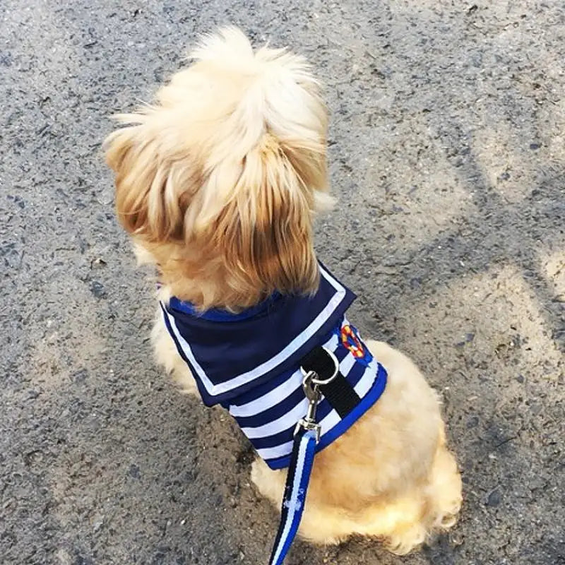 Navy Style Leash + Vest Set for Small-Medium Pets Yorkshire Terrier