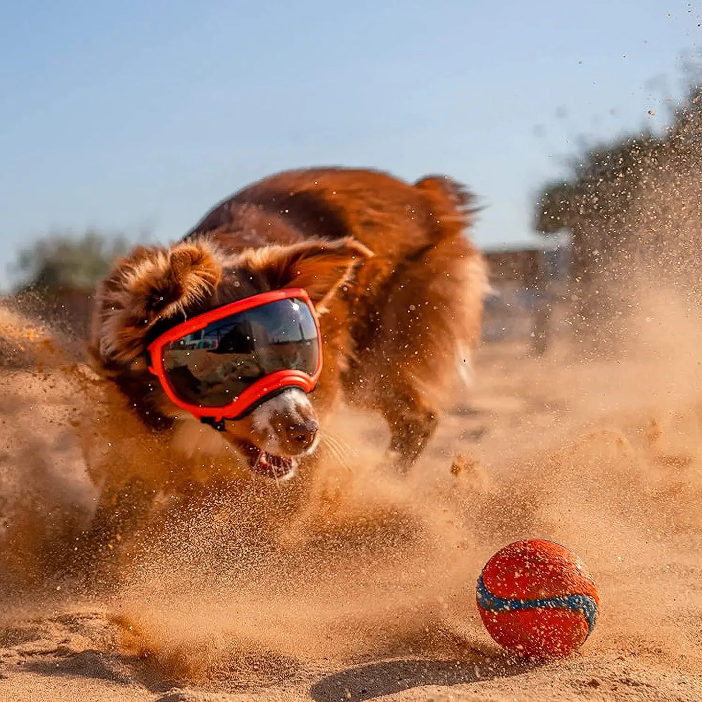 Protective Dog Goggles: Anti-UV, Impact Resistant, and Breathable
