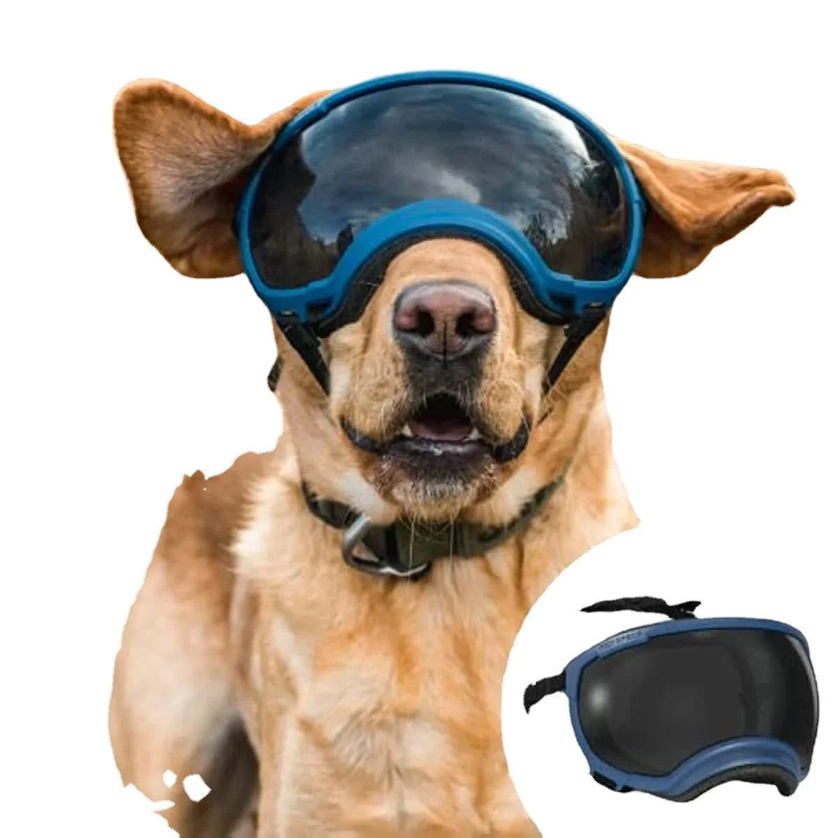 Protective Dog Goggles: Anti-UV, Impact Resistant, and Breathable