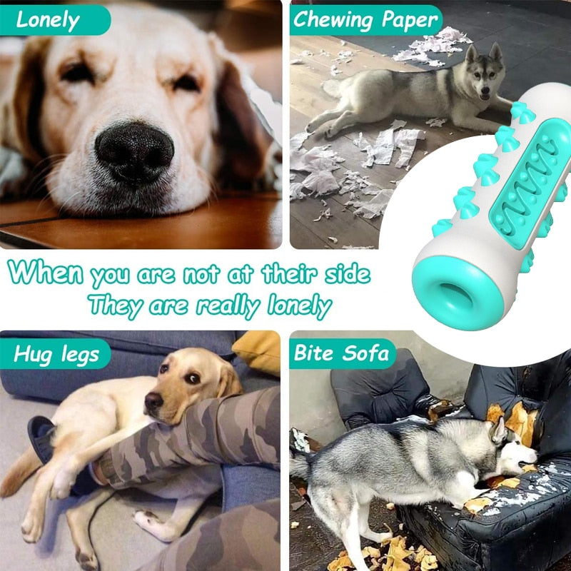 CleanBite: Safe and Soft Dog Teeth Cleaning Chew Brush Toy for Gentle Dental Care