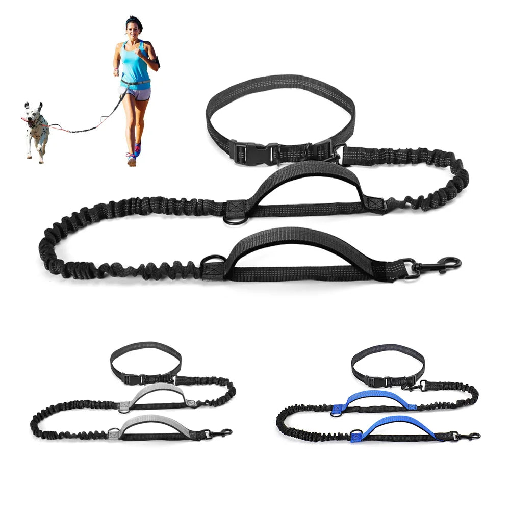 RunFlex Comfort Leash: Stretchy Hands-Free Dog Leash for Comfortable Running
