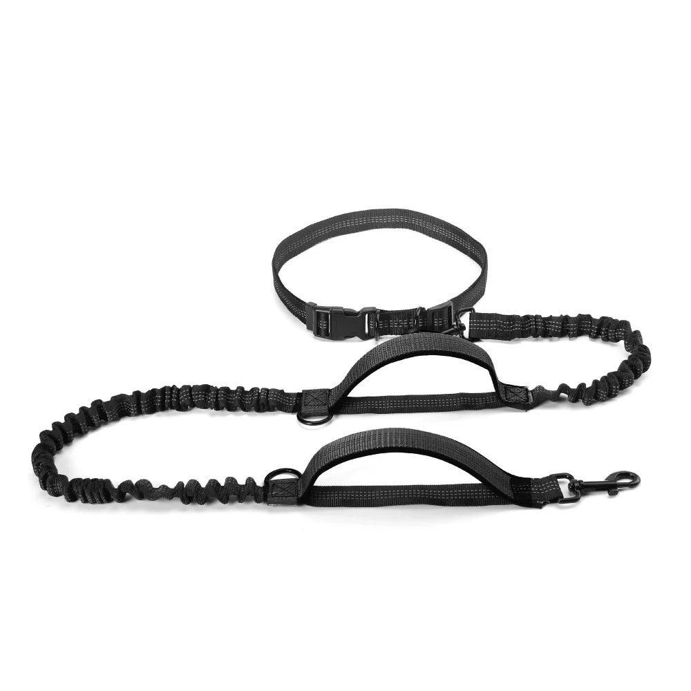 RunFlex Comfort Leash: Stretchy Hands-Free Dog Leash for Comfortable Running