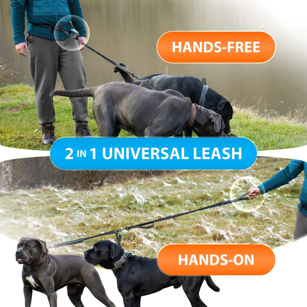 RunFlex Comfort Leash: Stretchy Hands-Free Dog Leash for Comfortable Running