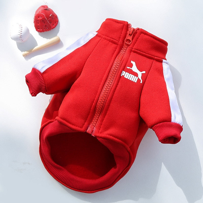 Warm and Stylish Winter Dog Jacket for Small and Medium Dogs