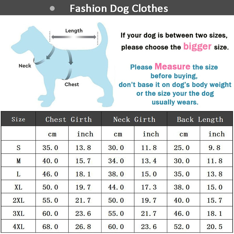 Warm and Stylish Winter Dog Jacket for Small and Medium Dogs
