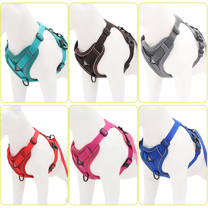 FlexFit Reflective Mesh Dog Harness and Leash Set: Adjustable Vest for Small Dogs and Cats, Ideal for French Bulldogs