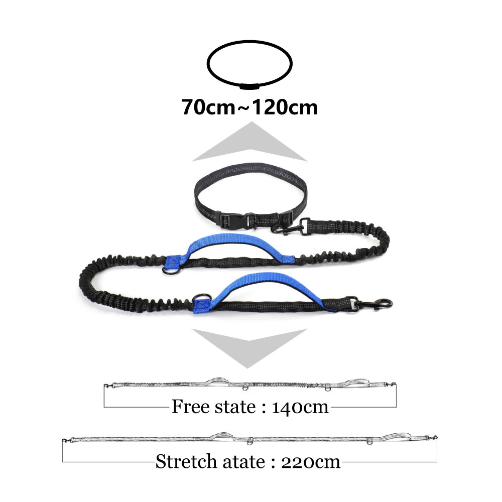 RunFlex Comfort Leash: Stretchy Hands-Free Dog Leash for Comfortable Running