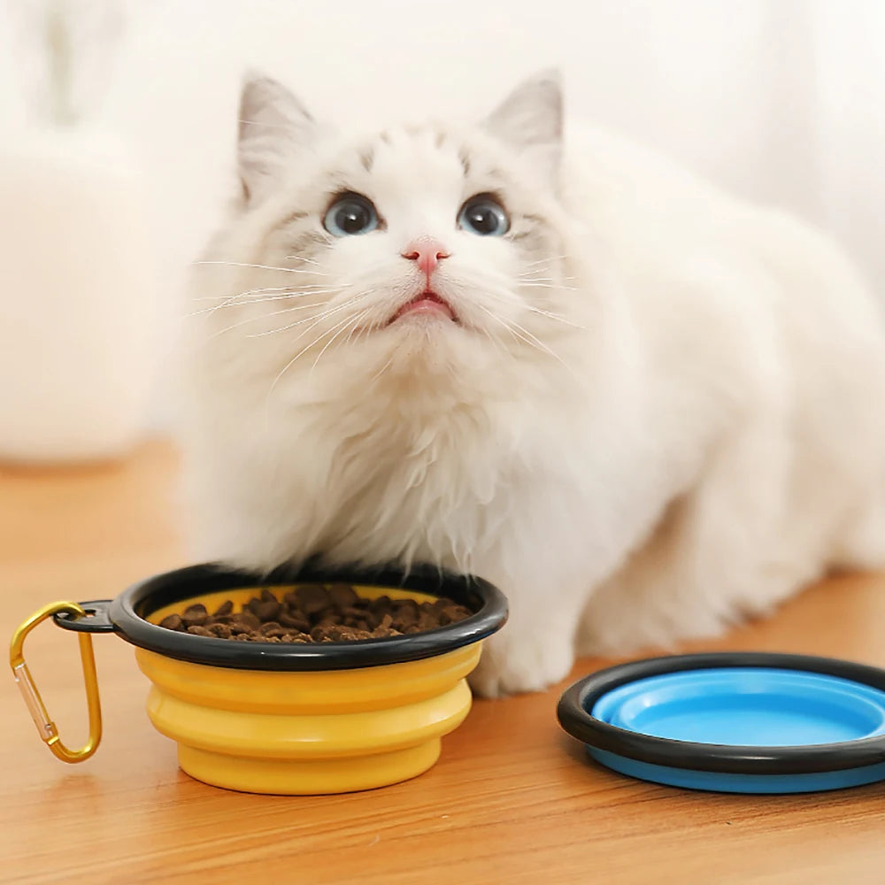 Portable Collapsible Dog Bowl: Silicone Travel Water & Food Dish