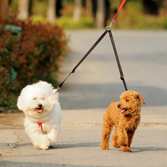 Double Dog Leash: Walk Two Dogs with One Leash - Easy and Convenient Pet Walking Solution